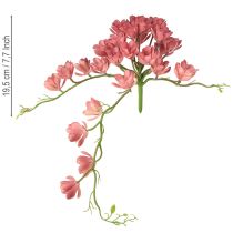 Artikel Sukkulente künstlich 28 Rosetten Aeonium Altrosa 43cm - Perfekte Dekoration für Hotels