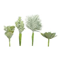 Artikel Sukkulenten Künstliche Grünpflanze Grün Sortiert 9-18,5cm 4St