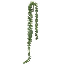 Artikel Kunstpflanze Girlande Sukkulente 80 cm Grün Kunststoff Innenbereich