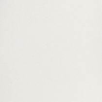 Artikel Rundes Tablett mit Griffen 30cm aus Metall, vielseitig und elegant für Gastronomie und Haushalt