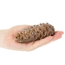 Artikel Tannenzapfen Keramik 14cm Braun Grün Herbstdeko 3er-Set