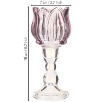 Artikel Teelichtglas Tulpenform Lila Glas Deko 2er-Set Ø7cm H16cm