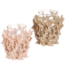 Artikel Teelichthalter Korallen Deko maritim Creme Braun 2St Tischdeko Sommer Look durch Polyresin