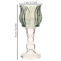 Artikel Teelichthalter Tulpe Glas Grün Ø7cm H16cm 2St – Elegante Deko für Floristen