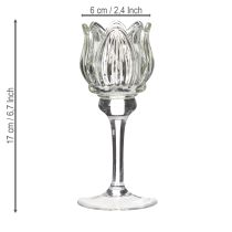 Artikel Teelichthalter Glas 17cm in Blumenform - Elegantes Deko-Highlight für eine stilvolle Atmosphäre