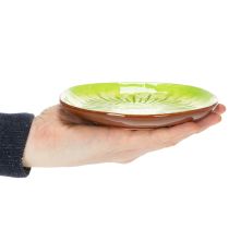 Artikel Keramikteller mit Kiwi-Motiv, rund, 16 cm, Set aus 2 Tellern, dekorativ und vielseitig