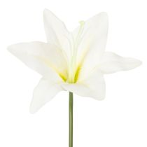 Artikel Kunstblume Tigerlilie Weiß 29cm Bund 6 Stück für Innenbereich