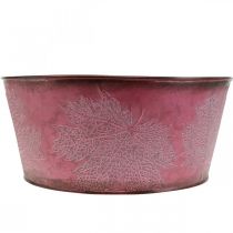 Artikel Pflanzschale für den Herbst, Metallgefäß mit Blattdekor, Dekotopf Weinrot Ø25cm H11cm