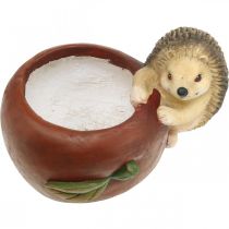 Artikel Pflanzgefäß, Apfel mit Igel, Herbstdeko, Übertopf, Keramik Ø16cm H22cm B33cm