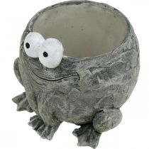 Artikel Topfgefäß Frosch mit Lächeln grau 11x12cm