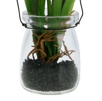 Artikel Traubenhyazinthe künstlich Rosa im Glas 16cm