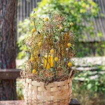 Artikel Craspedia Trockenblumen Trommelstöckchen Gelb 70cm 10 St