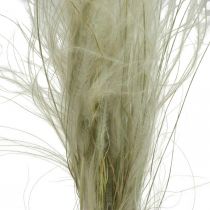 Artikel Trockenblumen Deko Federgras Trockengräser Natur 50g