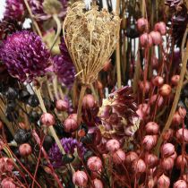 Artikel Trockenblumen-Set Lila Klee, Strohblume, Flachs & Dill, 35cm, Naturdeko 150g