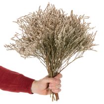 Artikel Trockenblume Bund Strandflieder Statice Natur 1kg