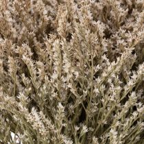 Artikel Trockenblume Bund Strandflieder Statice Natur 1kg