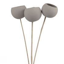 Trockenblumen Deko Bell Cups am Stiel Grau 37cm 3St