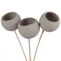 Trockenblumen Deko Bell Cups am Stiel Grau 37cm 3St