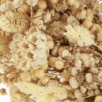 Artikel Trockenblumenkranz Creme Naturdeko Wandkranz Tischdeko 25cm