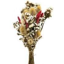 Trockenblumenstrauß Strohblumen Strauß Distel 40–45cm
