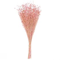 Artikel Trockengras Flachs Deko Hellrosa 50-55cm 80g Tischdeko