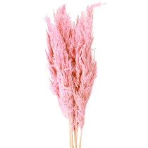 Artikel Trockengras Riedgras getrocknet Dekogras Rosa 70cm 10 St