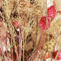 Artikel Trockenstrauß Flockenblume Erdbeerdistel Rot Gebleicht 150g