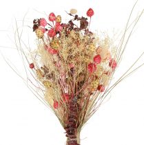 Artikel Trockenstrauß Flockenblume Erdbeerdistel Rot Gebleicht 150g