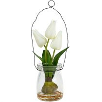 Tulpe Weiß im Glas H21cm 1St
