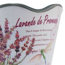 Artikel Übertopf Kunststoff Blumentopf Sommer Lavendel Ø16,5cm H13,5cm