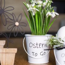 Artikel Übertopf Ostern Blumentopf Metall Eimer Weiß 10,5cm 3 St