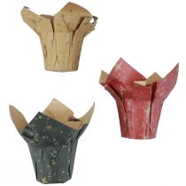 Übertopf Papier Sterne Rot/Anthrazit/Natur Ø12cm H12cm 9St