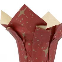 Übertopf Papier Sterne Rot/Anthrazit/Natur Ø12cm H12cm 9St