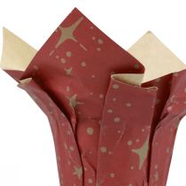 Übertopf Papier Sterne Rot/Anthrazit/Natur Ø9,5cm H10cm 9St