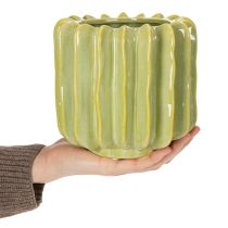 Artikel Keramik Blumentopf Kaktus Design 16cm Grün für exotische Dekoration