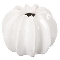 Artikel Kürbisform Vase 19 cm Weiß Glänzend Innenbereich Trockenblumen
