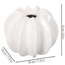 Artikel Kürbisform Vase 19 cm Weiß Glänzend Innenbereich Trockenblumen