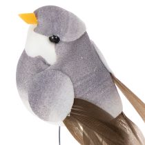 Artikel Dekovögel bunt mit Draht 5 cm Kunststoff Echte Federn 18er-Set Frühlingsdeko