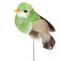 Artikel Dekovögel bunt mit Draht 5 cm Kunststoff Echte Federn 18er-Set Frühlingsdeko