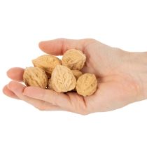 Artikel Walnüsse Naturprodukt zur Dekoration 3-4 cm 300g