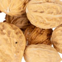 Artikel Walnüsse Naturprodukt zur Dekoration 3-4 cm 300g