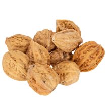 Artikel Walnüsse Natur braun 4-5 cm 300 g für Dekoration und DIY