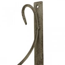 Wandhaken, Pflanzenhalterung Metall, Blumenampel Halterung H30cm T28,5cm