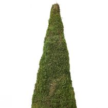 Artikel Weihnachtsbaum Moosbaum Deko in Grün Natur Ø25cm H70cm