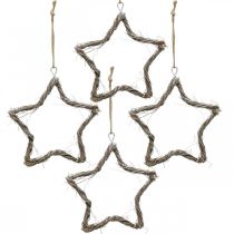 Weihnachtsdeko Stern Ulme Sterne zum Aufhängen Weiß gewaschen 20cm 4St