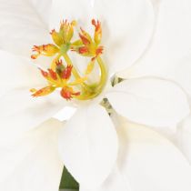 Artikel Kunstblume Weihnachtsstern Weiß 40cm Kunststoff und Kunstseide