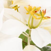 Artikel Kunstblume Weihnachtsstern Weiß 40cm Kunststoff und Kunstseide