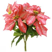 Artikel Künstlicher Weihnachtsstern Rot Rosa Deko-Blumenstrauß 35cm 6er-Set