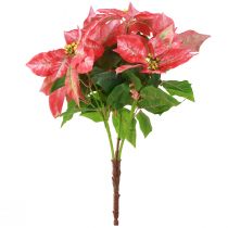 Artikel Weihnachtsstern Rot-Rosa 53cm künstliche Pflanze - Festliche Deko-Blume Winter