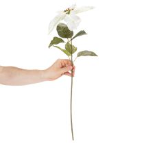 Artikel Künstlicher Weihnachtsstern Weiß 65cm Blütenzweig Kunststoff 2 Stück